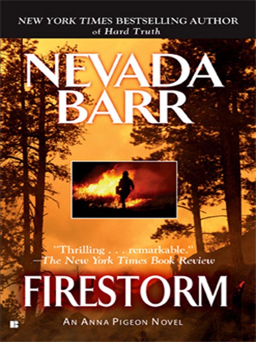 Title details for Firestorm by Nevada Barr - Available